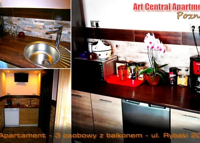 艺术公寓 波兹南